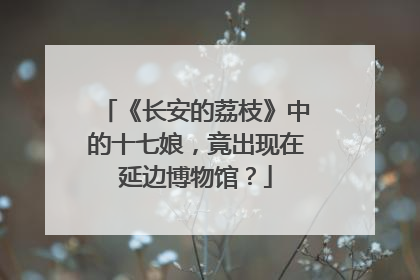 《长安的荔枝》中的十七娘，竟出现在延边博物馆？