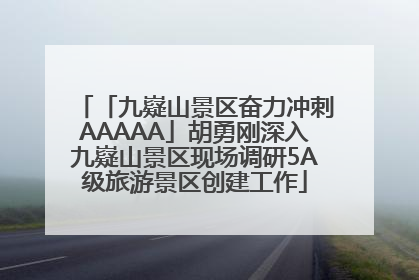 「九嶷山景区奋力冲刺AAAAA」胡勇刚深入九嶷山景区现场调研5A级旅游景区创建工作
