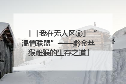 「我在无人区⑧」“温情联盟”——黔金丝猴雌猴的生存之道
