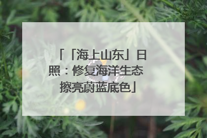 「海上山东」日照：修复海洋生态 擦亮蔚蓝底色