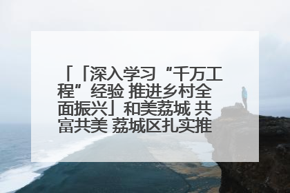 「深入学习“千万工程”经验 推进乡村全面振兴」和美荔城 共富共美 荔城区扎实推进乡村振兴工作