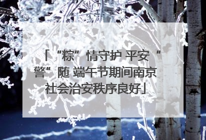 “粽”情守护 平安“警”随 端午节期间南京社会治安秩序良好