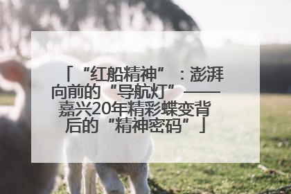 “红船精神”：澎湃向前的“导航灯”——嘉兴20年精彩蝶变背后的“精神密码”