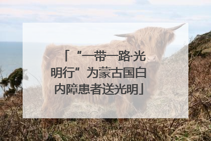 “一带一路·光明行”为蒙古国白内障患者送光明