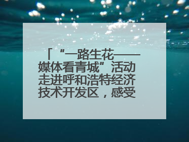 “一路生花——媒体看青城”活动走进呼和浩特经济技术开发区，感受发展新动能