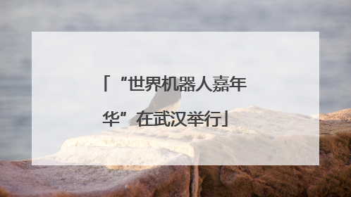 “世界机器人嘉年华”在武汉举行