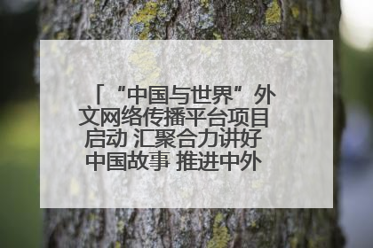 “中国与世界”外文网络传播平台项目启动 汇聚合力讲好中国故事 推进中外文明交流互鉴