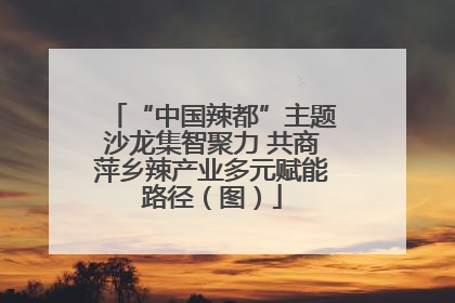 “中国辣都”主题沙龙集智聚力 共商萍乡辣产业多元赋能路径（图）