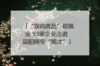 “双向奔赴”促就业 93家企业走进益阳师专“揽才”