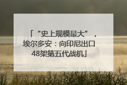“史上规模最大”，埃尔多安：向印尼出口48架第五代战机