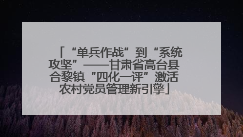“单兵作战”到“系统攻坚”——甘肃省高台县合黎镇“四化一评”激活农村党员管理新引擎