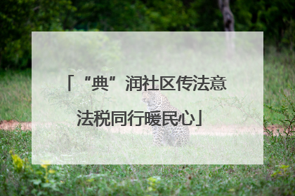 “典”润社区传法意 法税同行暖民心