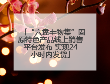 “六盘丰物集”固原特色产品线上销售平台发布 实现24小时内发货