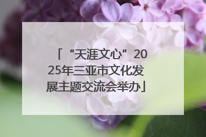 “天涯文心”2025年三亚市文化发展主题交流会举办