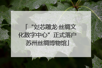 “彣芯雕龙·丝绸文化数字中心”正式落户苏州丝绸博物馆
