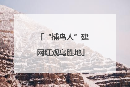 “捕鸟人”建网红观鸟胜地