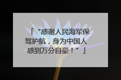 “感谢人民海军保驾护航，身为中国人感到万分自豪！”