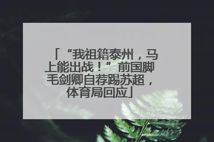 “我祖籍泰州，马上能出战！”前国脚毛剑卿自荐踢苏超，体育局回应