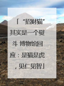 “招财猫”其实是一个熨斗 博物馆回应：是猫是虎，见仁见智