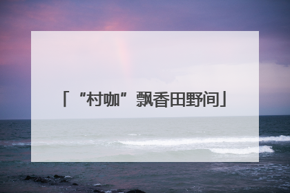 “村咖”飘香田野间