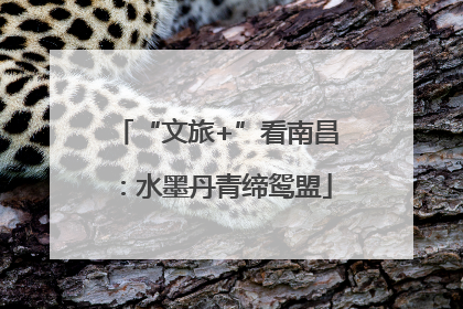 “文旅+”看南昌：水墨丹青缔鸳盟