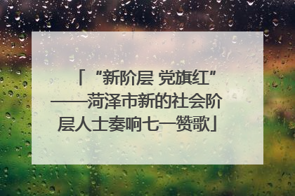 “新阶层 党旗红”——菏泽市新的社会阶层人士奏响七一赞歌