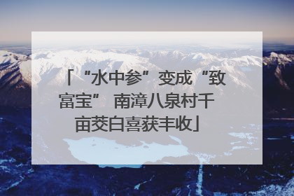 “水中参”变成“致富宝” 南漳八泉村千亩茭白喜获丰收