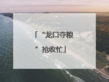 “龙口夺粮”抢收忙