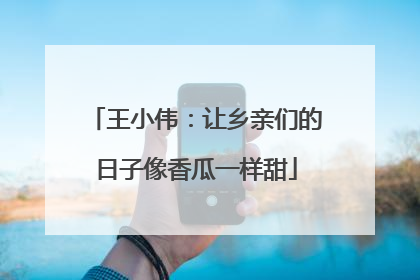 王小伟：让乡亲们的日子像香瓜一样甜