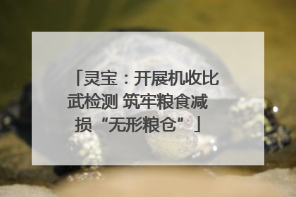 灵宝：开展机收比武检测 筑牢粮食减损“无形粮仓”