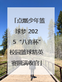 点燃少年篮球梦 2025“八喜杯”校园篮球精英赛圆满收官