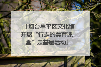 烟台牟平区文化馆开展“行走的美育课堂”走基层活动