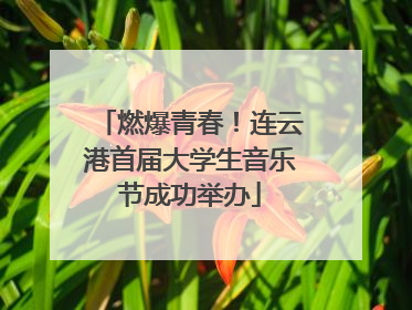 燃爆青春！连云港首届大学生音乐节成功举办