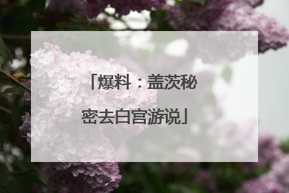 爆料：盖茨秘密去白宫游说