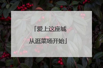 爱上这座城 从逛菜场开始