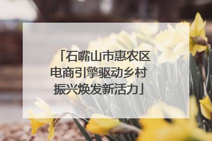石嘴山市惠农区电商引擎驱动乡村振兴焕发新活力