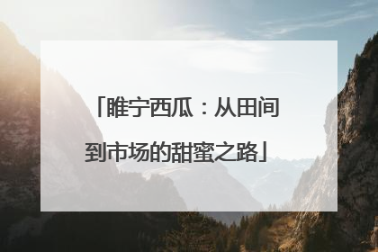 睢宁西瓜：从田间到市场的甜蜜之路