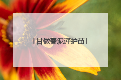 甘做春泥谨护苗