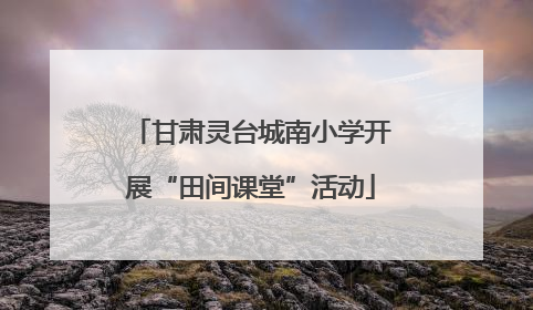 甘肃灵台城南小学开展“田间课堂”活动