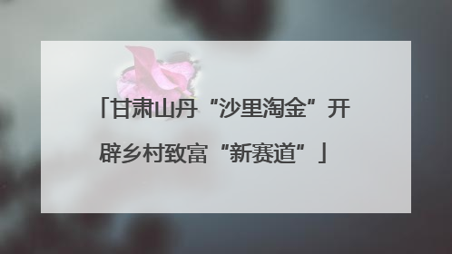 甘肃山丹“沙里淘金”开辟乡村致富“新赛道”