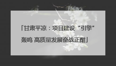 甘肃平凉：项目建设“引擎”轰鸣 高质量发展奋战正酣