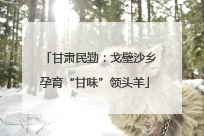 甘肃民勤：戈壁沙乡孕育“甘味”领头羊