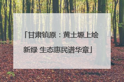 甘肃镇原：黄土塬上绘新绿 生态惠民谱华章
