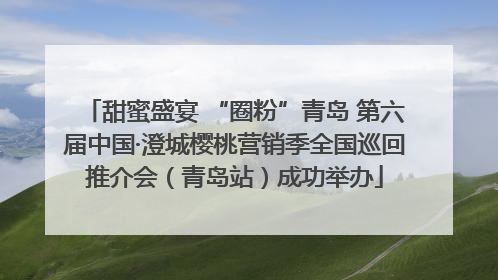 甜蜜盛宴 “圈粉”青岛 第六届中国·澄城樱桃营销季全国巡回推介会（青岛站）成功举办