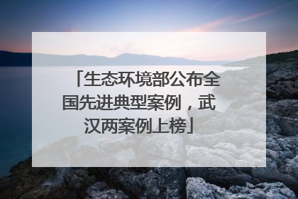 生态环境部公布全国先进典型案例，武汉两案例上榜