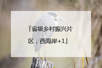 省级乡村振兴片区，西海岸+1