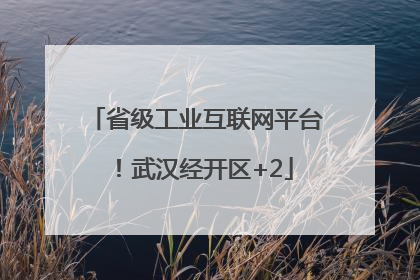 省级工业互联网平台！武汉经开区+2
