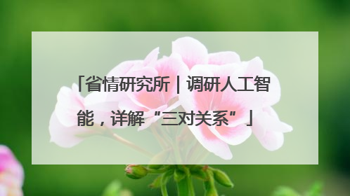 省情研究所｜调研人工智能，详解“三对关系”