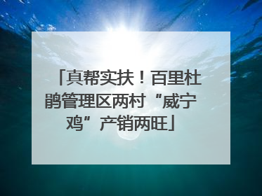 真帮实扶！百里杜鹃管理区两村“威宁鸡”产销两旺