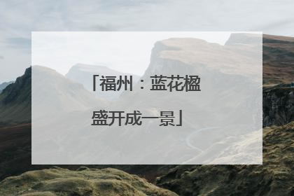 福州：蓝花楹盛开成一景